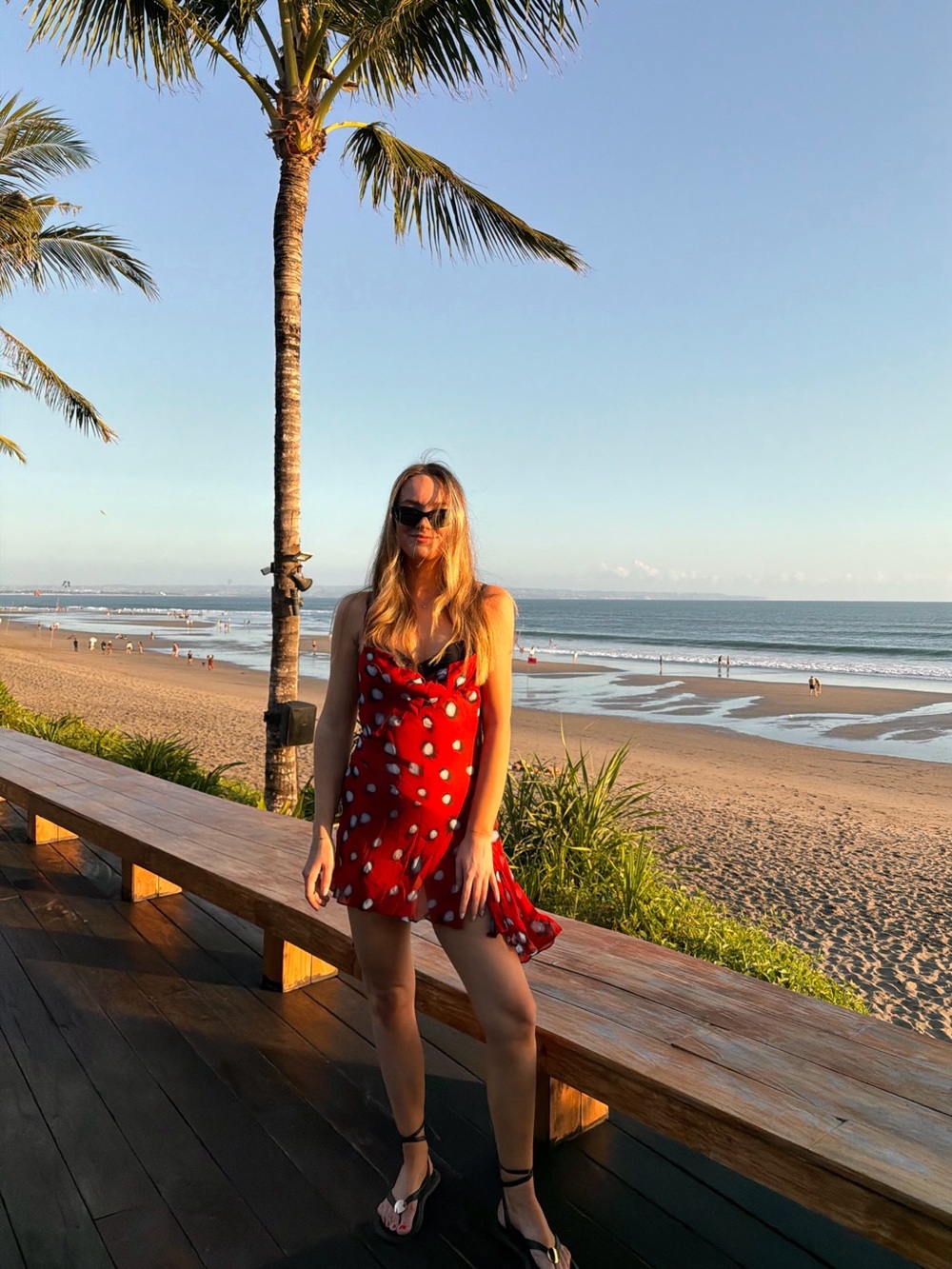 Rat & Boa Rosela Dress Red